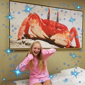 Meet your Posher, Susan